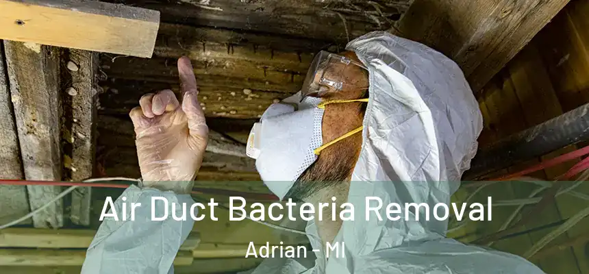 Air Duct Bacteria Removal Adrian - MI
