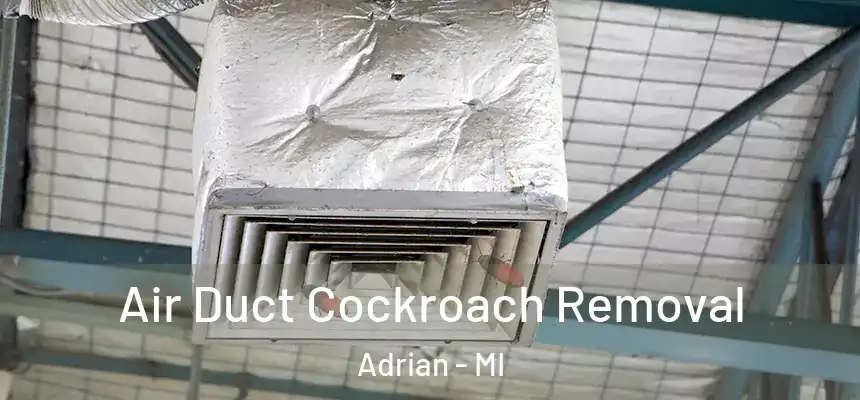 Air Duct Cockroach Removal Adrian - MI