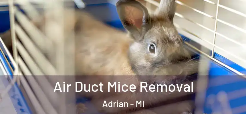  Air Duct Mice Removal Adrian - MI