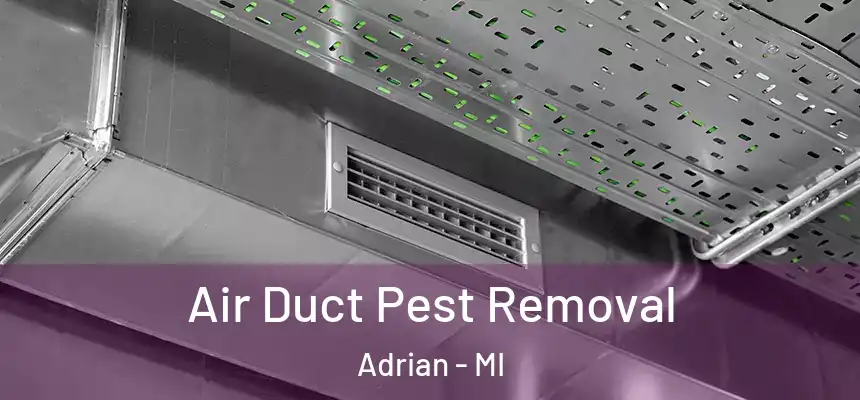  Air Duct Pest Removal Adrian - MI