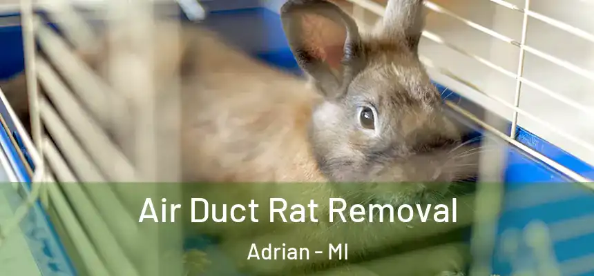  Air Duct Rat Removal Adrian - MI