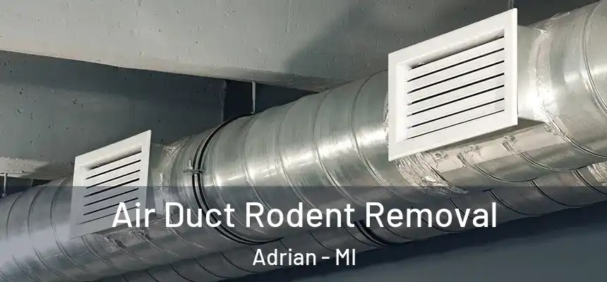 Air Duct Rodent Removal Adrian - MI