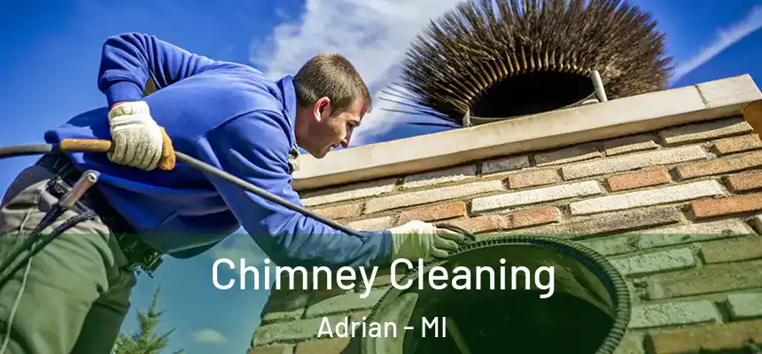  Chimney Cleaning Adrian - MI