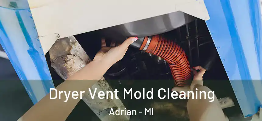 Dryer Vent Mold Cleaning Adrian - MI