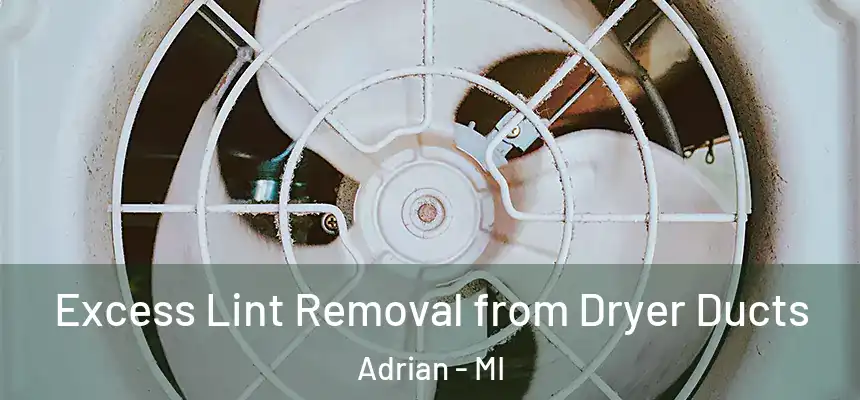 Excess Lint Removal from Dryer Ducts Adrian - MI
