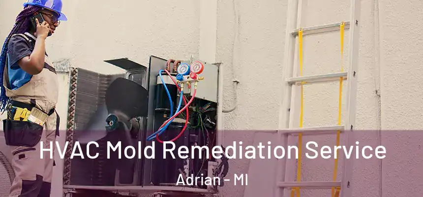 HVAC Mold Remediation Service Adrian - MI