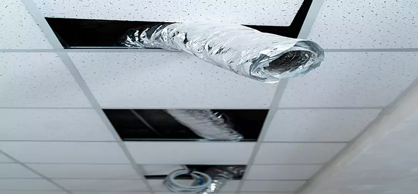 Affordable HVAC Sanitizing After Pest Removal in Adrian