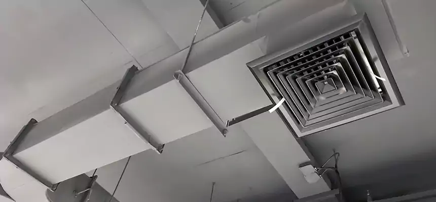 Restorative Allergy Relief Vent Cleaning – Coil, Blower & Housing Detail in Adrian