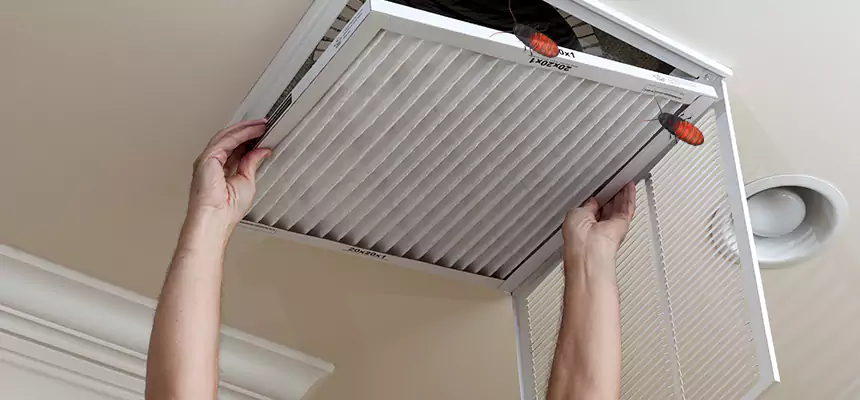 Our Insect Removal from Air Ducts Services in Adrian, MI