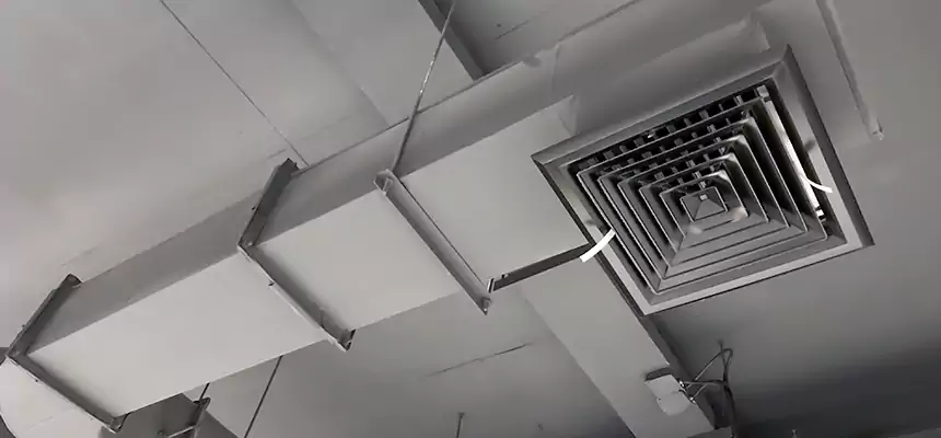 Our Pest Removal From Ducts Services in Adrian, MI