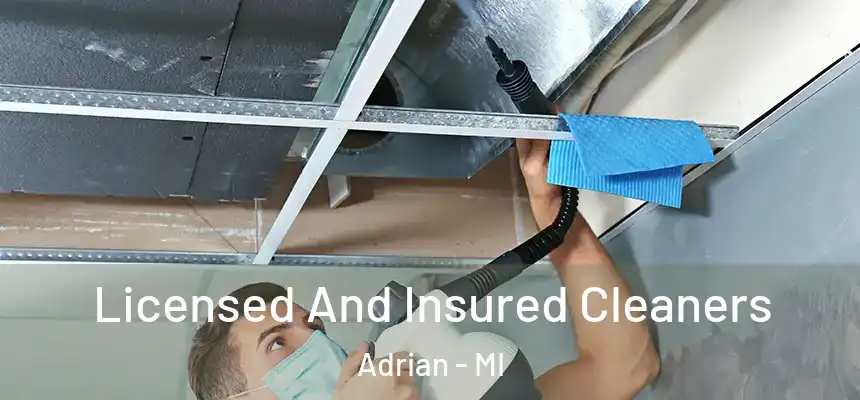 Licensed And Insured Cleaners Adrian - MI