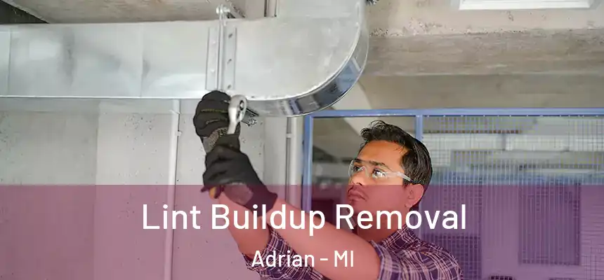 Lint Buildup Removal Adrian - MI