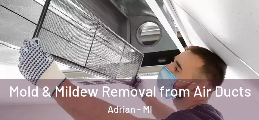  Mold & Mildew Removal from Air Ducts Adrian - MI
