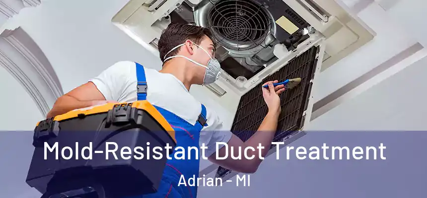  Mold-Resistant Duct Treatment Adrian - MI