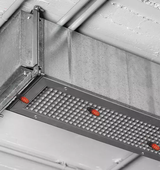 About Air Duct Cockroach Removal in Adrian, MI