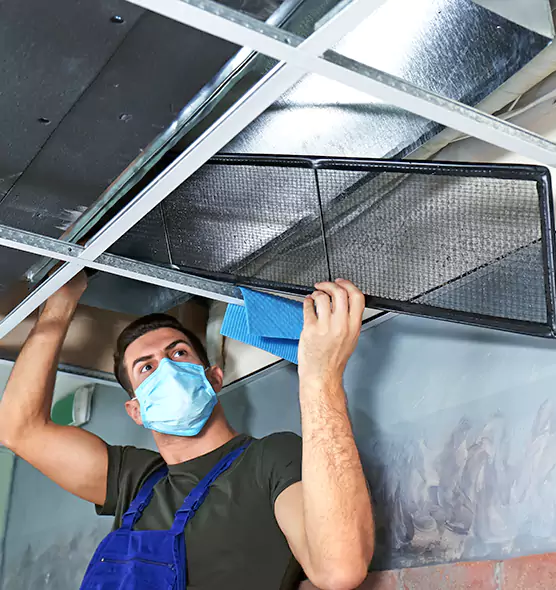Professional Air Duct Pollen Cleaning in Adrian, MI
