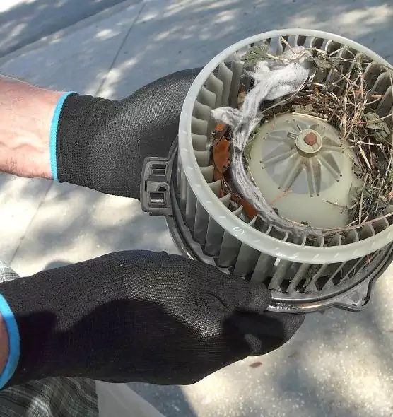 About Air Duct Rat Removal in Adrian, MI