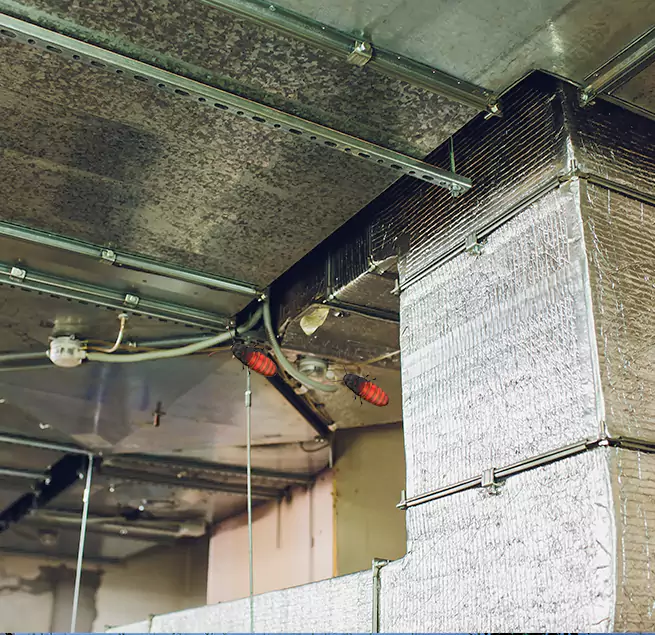 Why Homeowners & Businesses Trust Us in Adrian, MI?