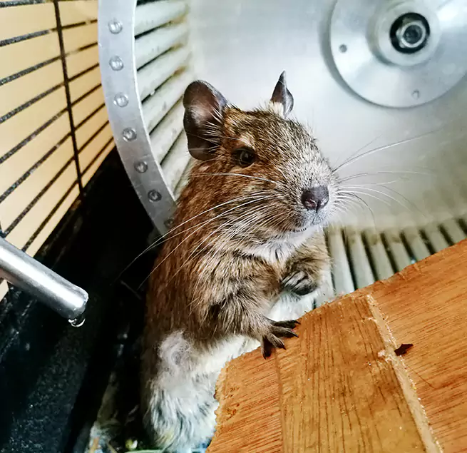 Why Homeowners & Businesses Trust Us Adrian, MI